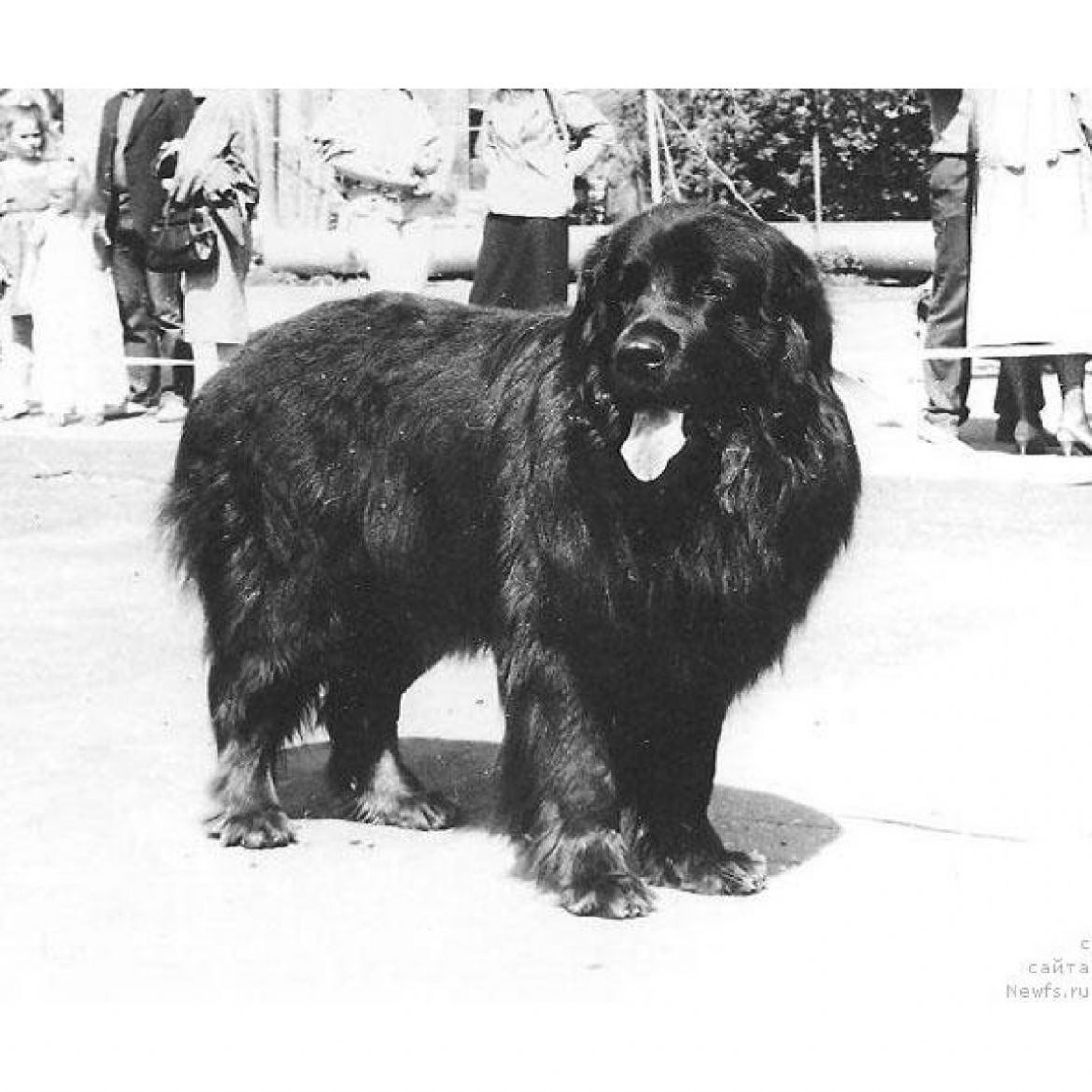 R Ost Molliden (01-01-1987)